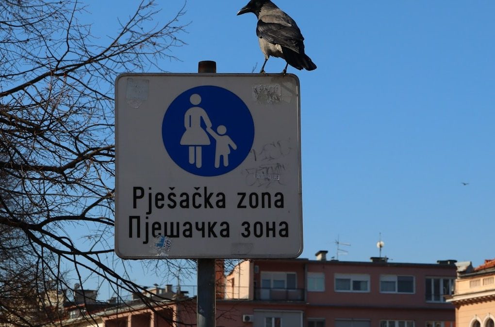 A bird is sitting on top of a sign