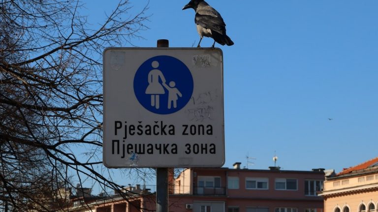 A bird is sitting on top of a sign